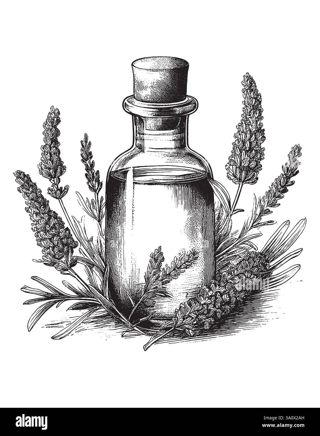 Immagine vettoriale in stile incisione vintage di una bottiglia di olio essenziale per uso medico o cosmetico Illustrazione Vettoriale