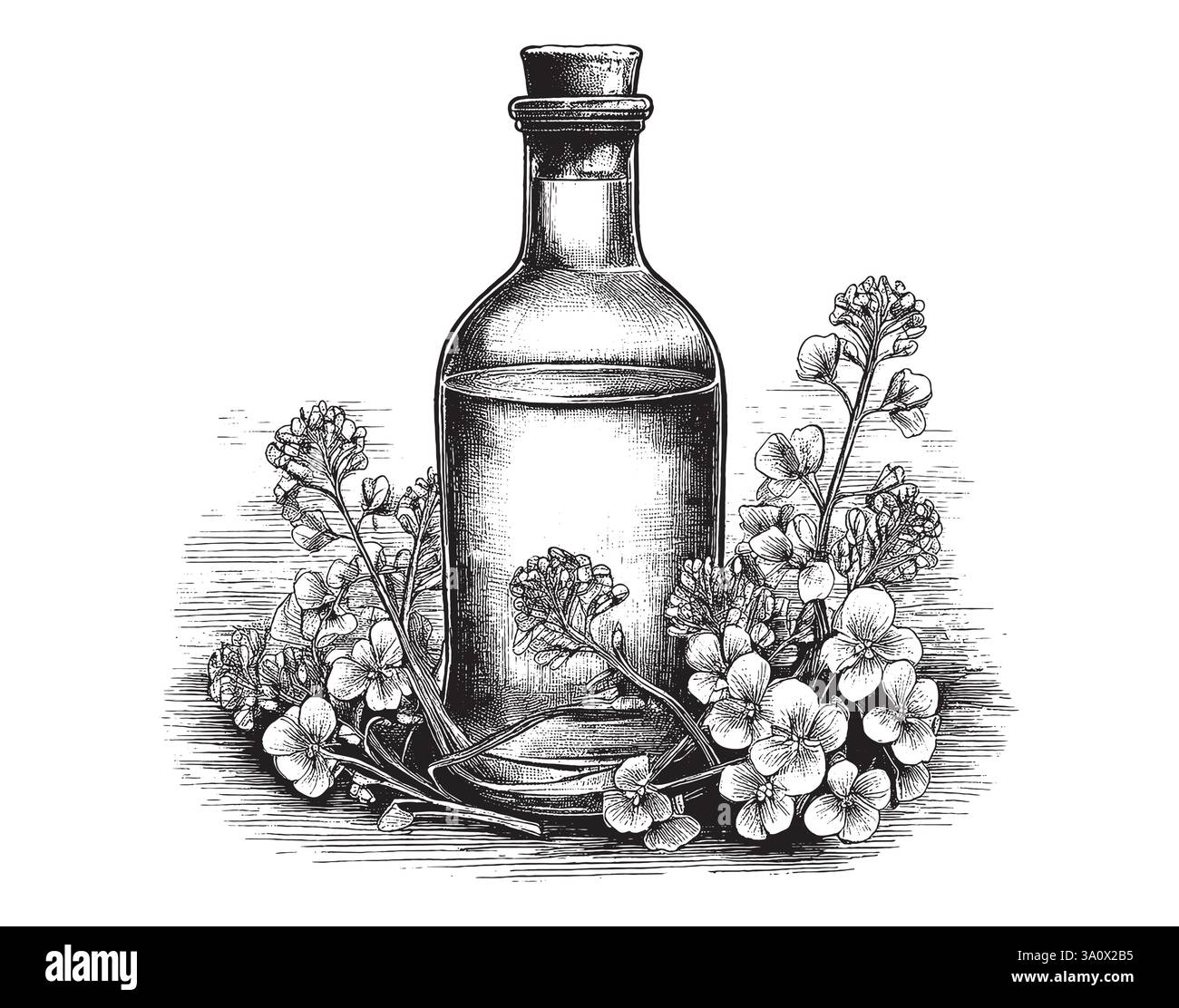 Immagine vettoriale in stile incisione vintage di una bottiglia di olio essenziale per uso medico o cosmetico Illustrazione Vettoriale