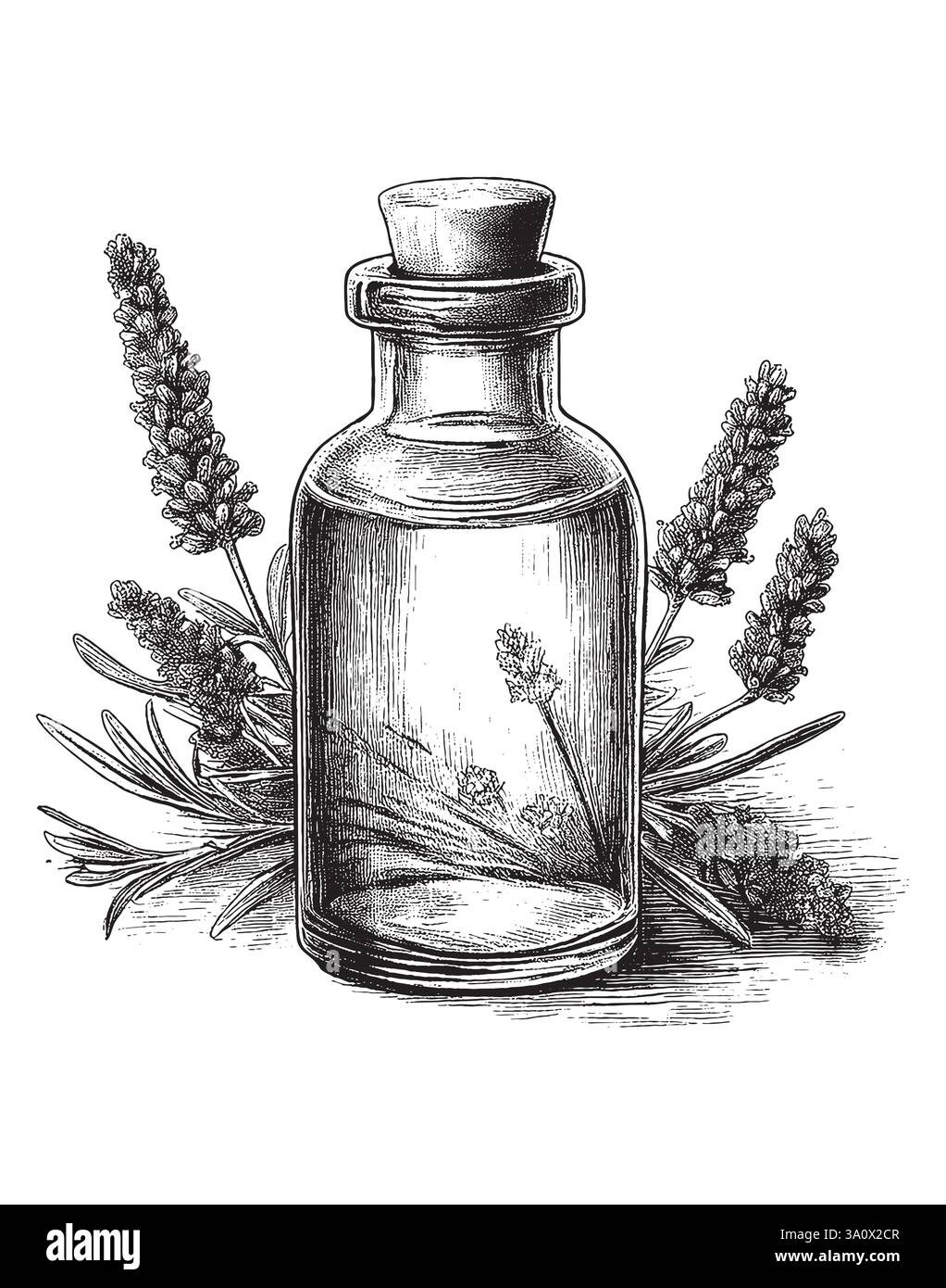 Immagine vettoriale in stile incisione vintage di una bottiglia di olio essenziale per uso medico o cosmetico Illustrazione Vettoriale