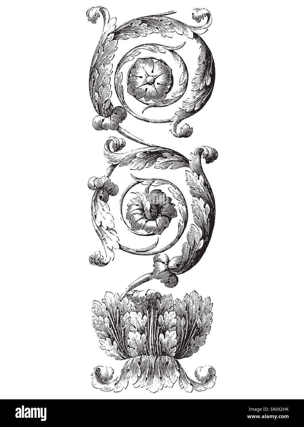 Illustrazione vettoriale in stile incisione vintage del rotolo di acanto con ornamenti pesanti e dettagli a cerchio Illustrazione Vettoriale