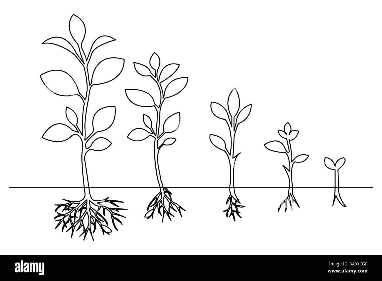 Albero delle piante in crescita disegnando disegni a linea singola da disegno vettoriale di linea sfondo bianco isolato, illustrazione vettoriale Illustrazione Vettoriale