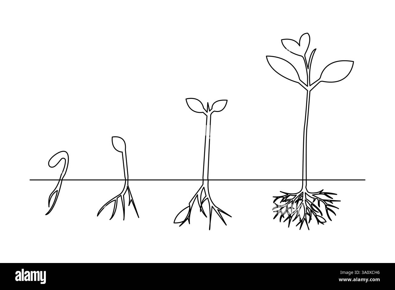 Albero delle piante in crescita disegnando disegni a linea singola da disegno vettoriale di linea sfondo bianco isolato, illustrazione vettoriale Illustrazione Vettoriale
