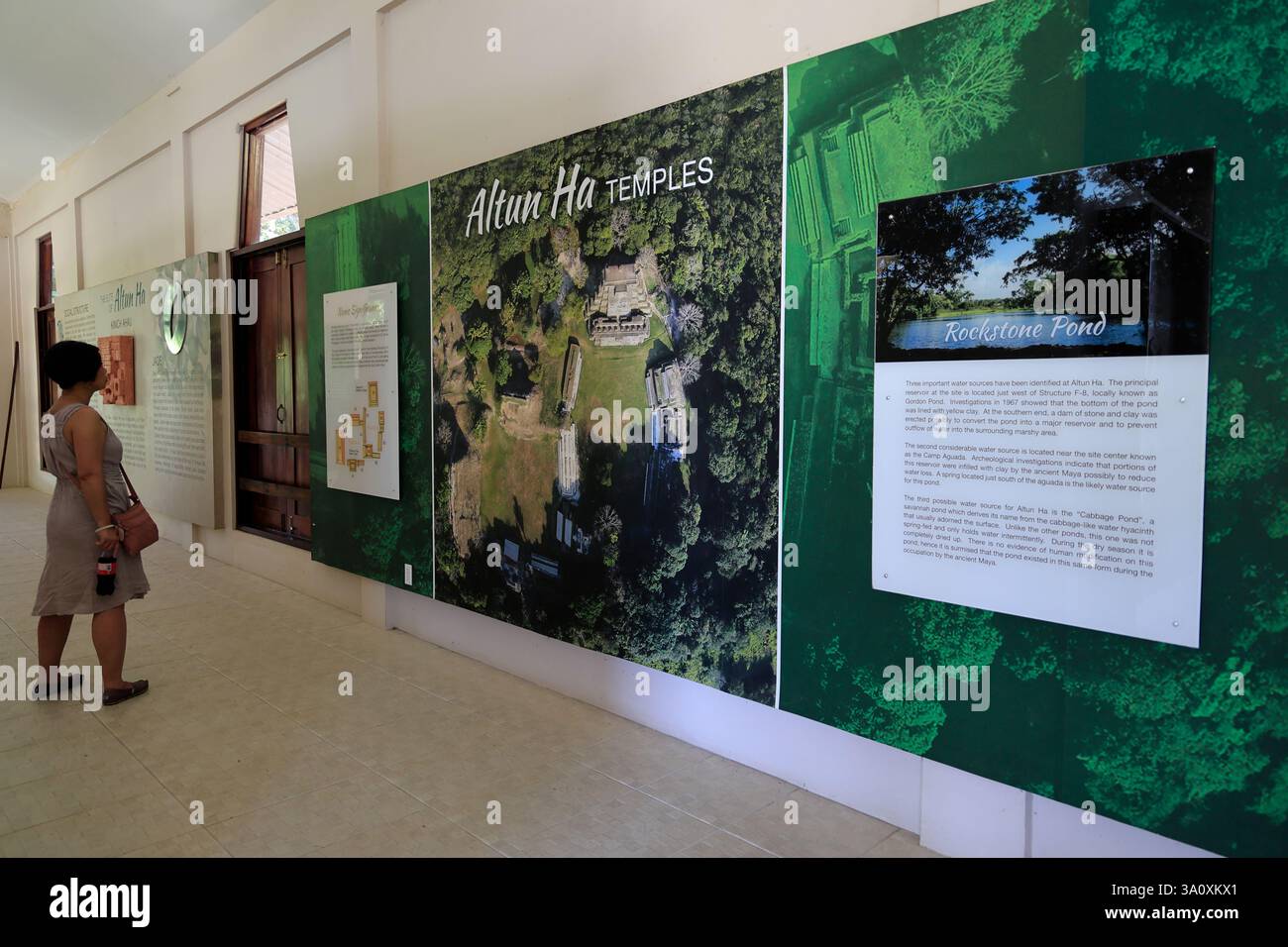 Un visitatore all'interno del museo nel sito archeologico di Altun ha Maya. Stagno di Rockstone. Distretto del Belize. Belize Foto Stock