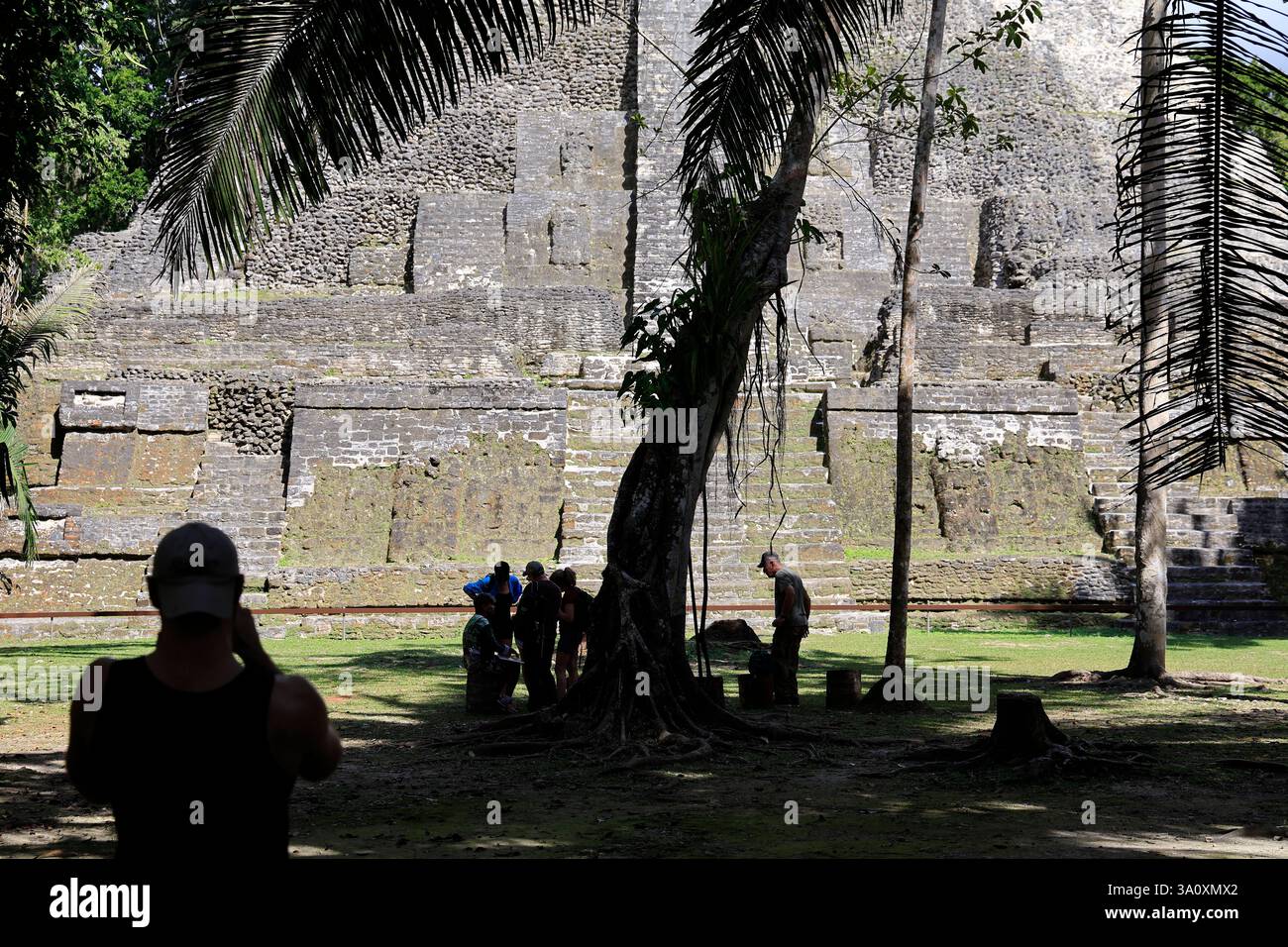 Il tempio di Hight del sito archeologico Maya di Lamanai. Orange Walk District. Belize Foto Stock