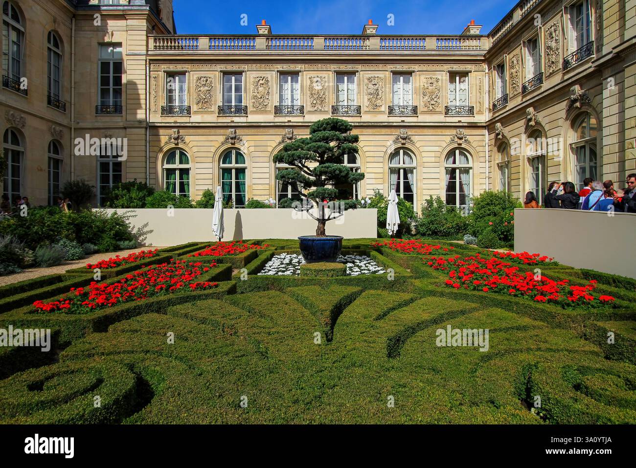 Bonsai nei giardini del Palazzo dell'Élysée, alias Hôtel d'Evreux, la residenza ufficiale del Presidente della Repubblica francese a Parigi, Francia Foto Stock