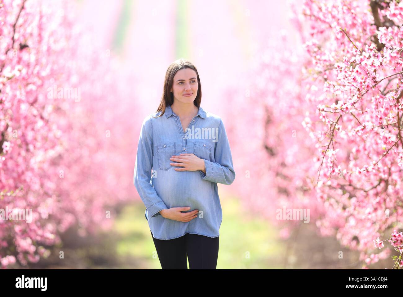 Vista frontale ritratto di una donna incinta che cammina attraverso un campo fiorito Foto Stock