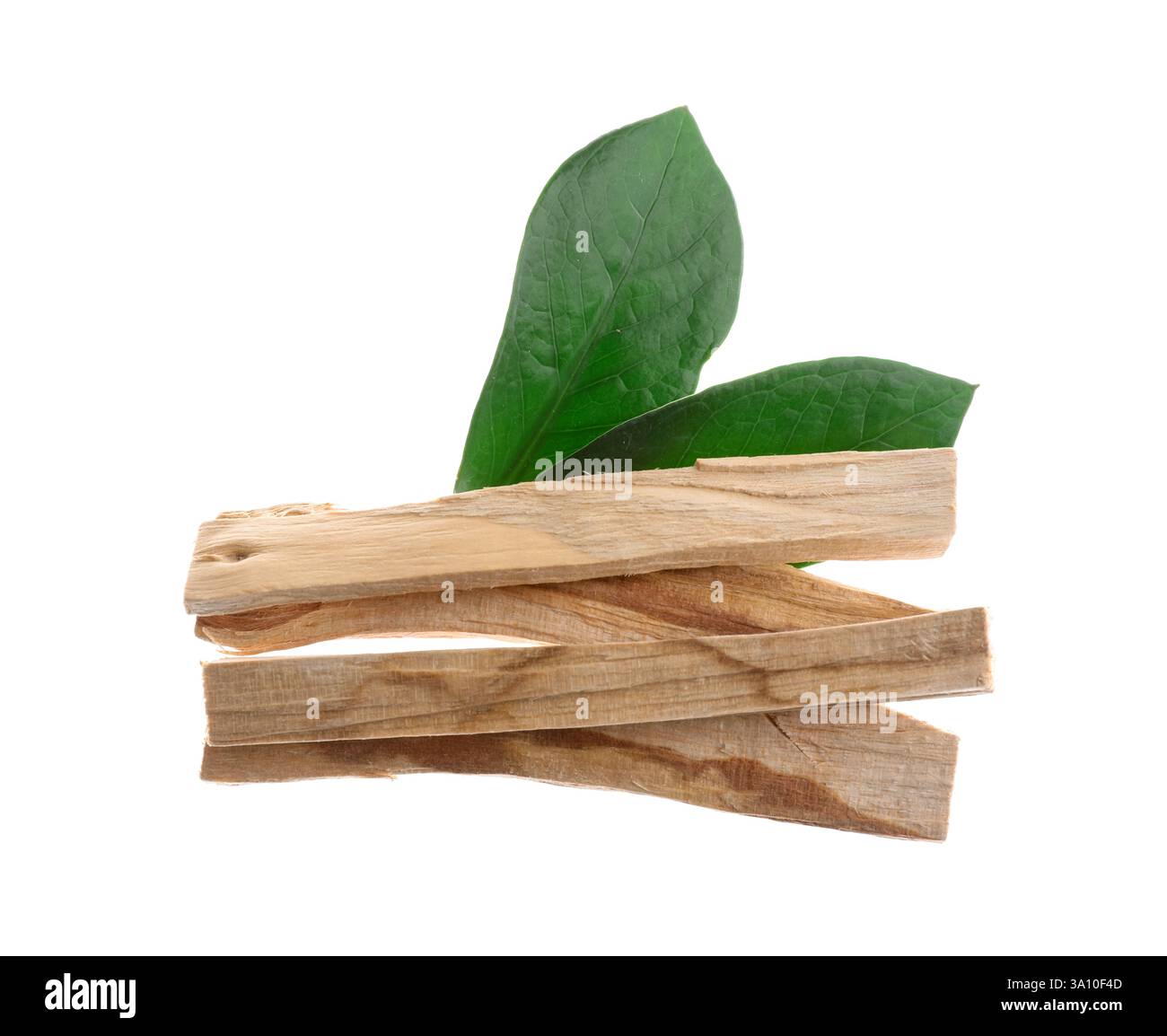 Bastoncini palo santo e foglie verdi su sfondo bianco Foto Stock