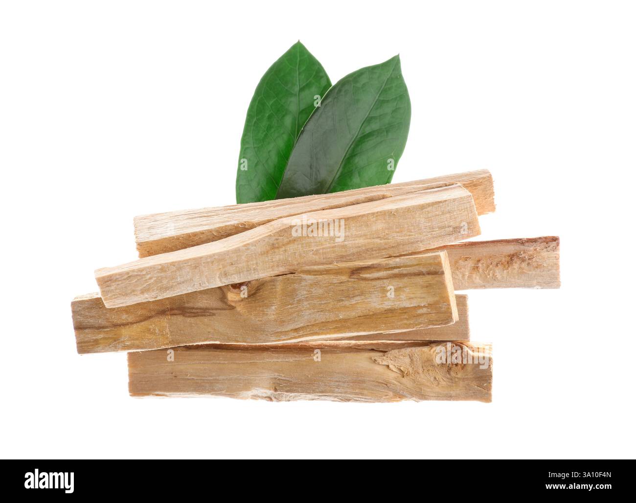 Bastoncini palo santo e foglie verdi su sfondo bianco Foto Stock
