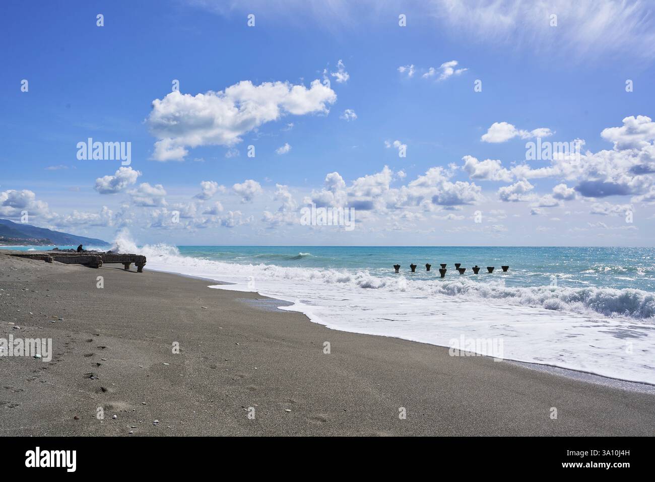 Un gruppo di persone con cani che passeggiano sulla spiaggia e nell'acqua dell'oceano Foto Stock