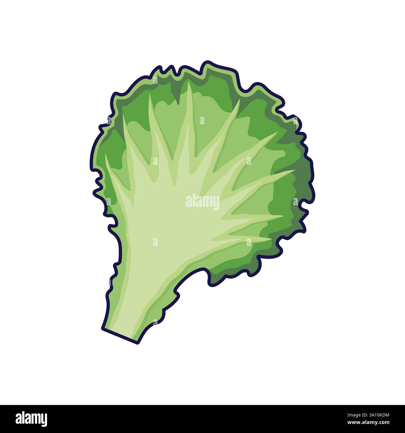 Concetto di erbe fresche. Bella foglia di lattuga. Illustrazione dell'icona del cartone animato vettoriale. Cavolo cinese in stile doodle. Isolato su sfondo bianco. Illustrazione Vettoriale