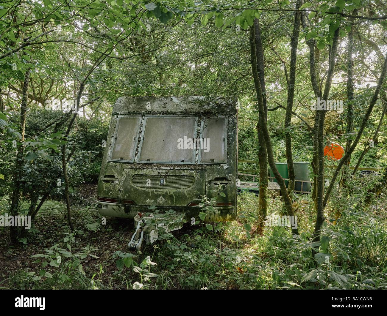 Una vecchia carovana abbandonata coperta di verde nascosta in un bosco ricoperto di tende chiuse, tutto diventa verde Foto Stock