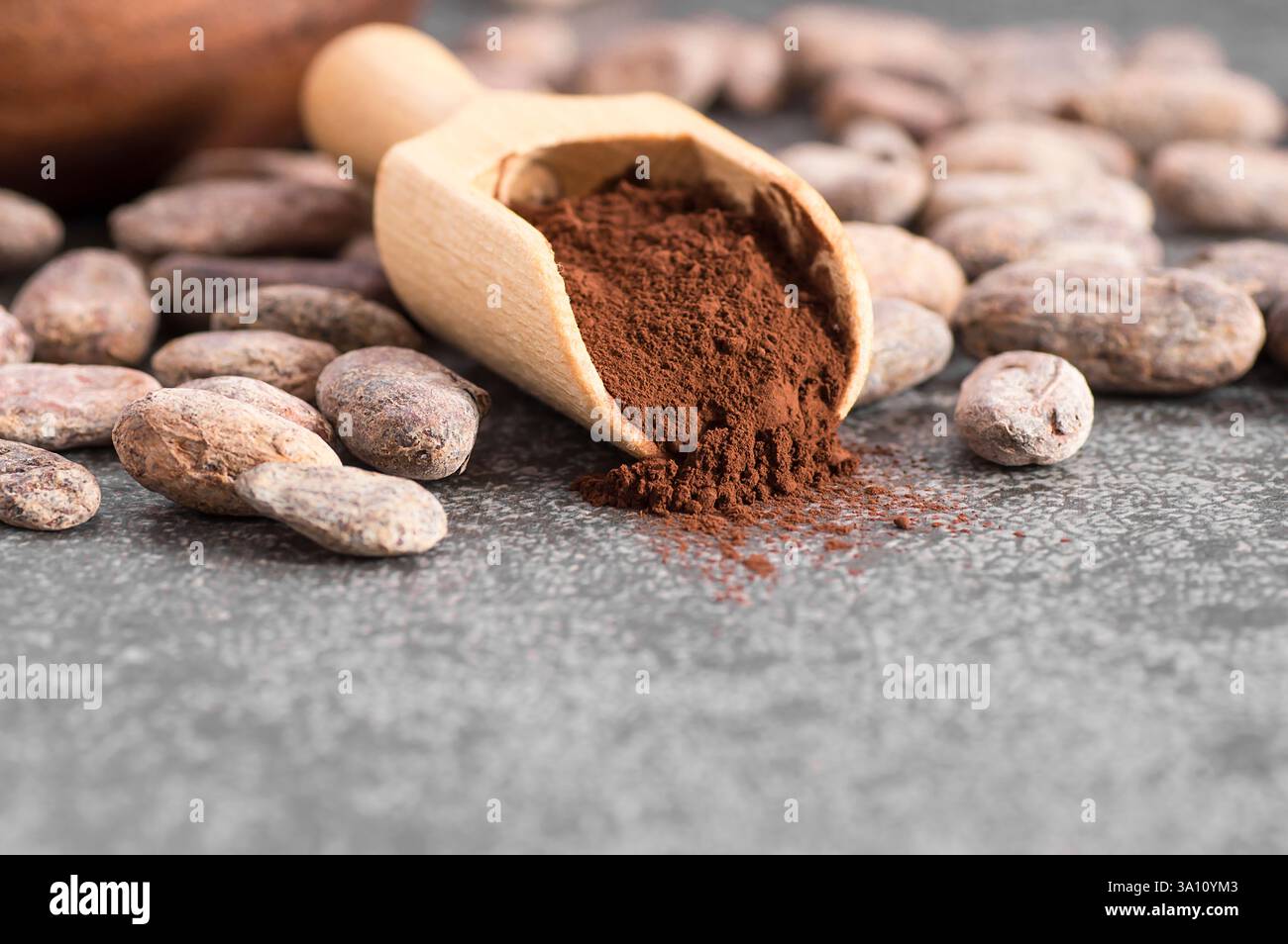 Cacao in polvere in paletta di legno con fagioli di cacao crudi sullo sfondo rustico, sano cibo naturale Foto Stock