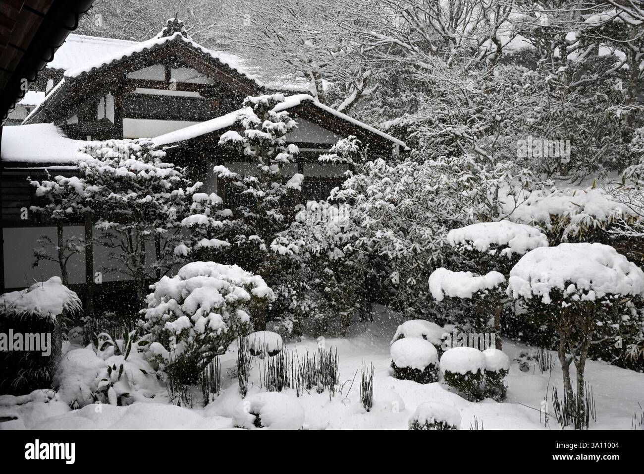 Scena di neve all'avanguardia del tempio di Sanzen-in a Ohara, Kyoto, Giappone. Foto Stock