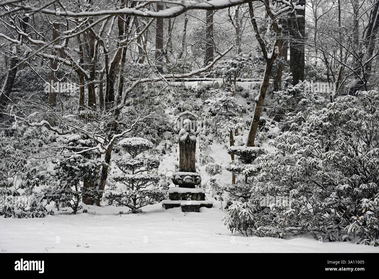 Scena di neve all'avanguardia del tempio di Sanzen-in a Ohara, Kyoto, Giappone. Foto Stock