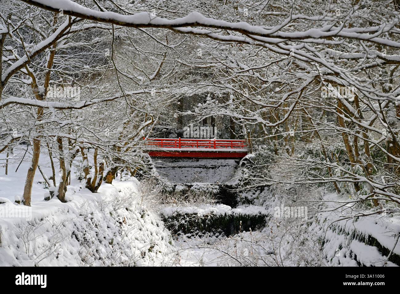 Scena di neve all'avanguardia del tempio di Sanzen-in a Ohara, Kyoto, Giappone. Foto Stock