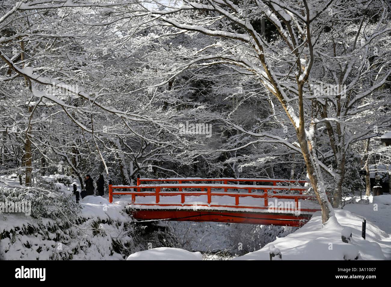Scena di neve all'avanguardia del tempio di Sanzen-in a Ohara, Kyoto, Giappone. Foto Stock