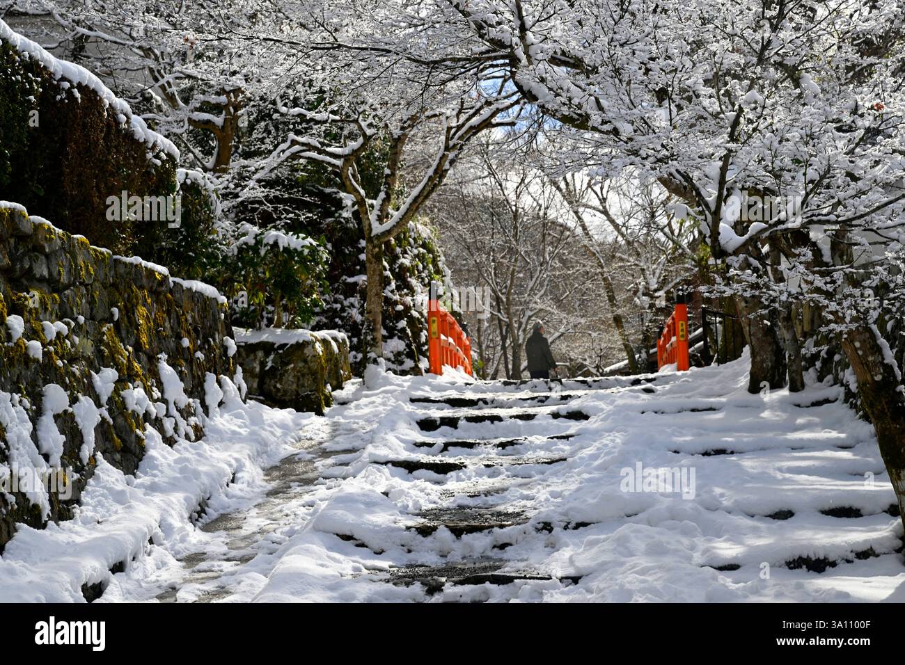 Scena di neve all'avanguardia del tempio di Sanzen-in a Ohara, Kyoto, Giappone. Foto Stock