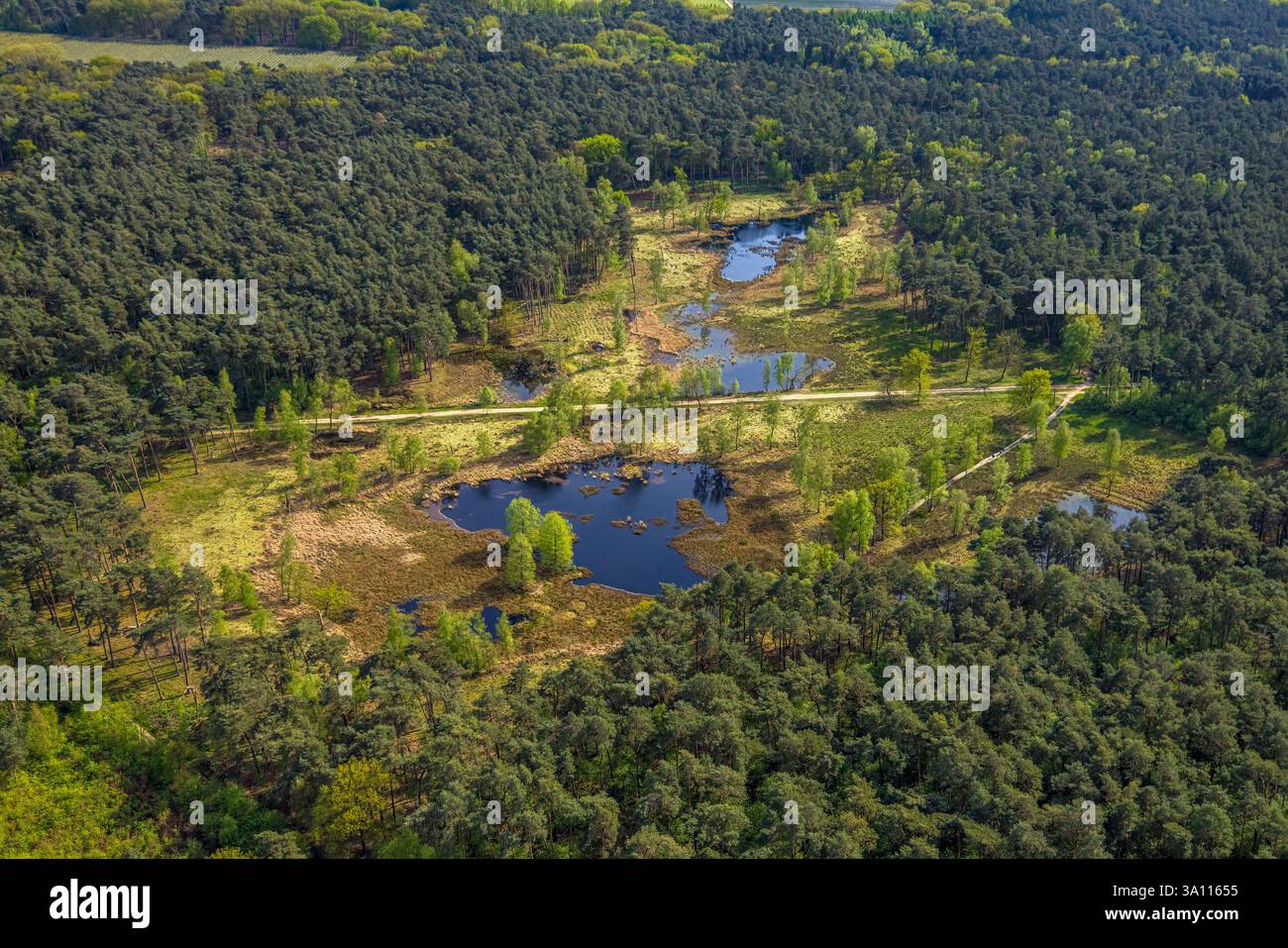 Fotografia aerea, riserva naturale NSG Heidemoore i, foresta e laghetti umidi al confine tedesco-olandese, Heidhausen, Brüggen, basso Reno, Nord Reno Foto Stock