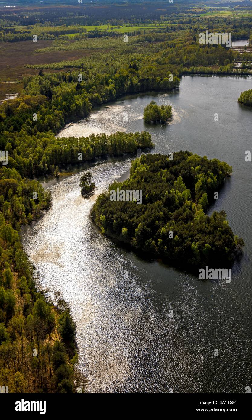 Fotografia aerea, Diergartscher SEE Nature Reserve NSG Elmpter Schwalmbruch, foresta mista e isola nel lago, paesaggio pianeggiante alluvionale sul Foto Stock