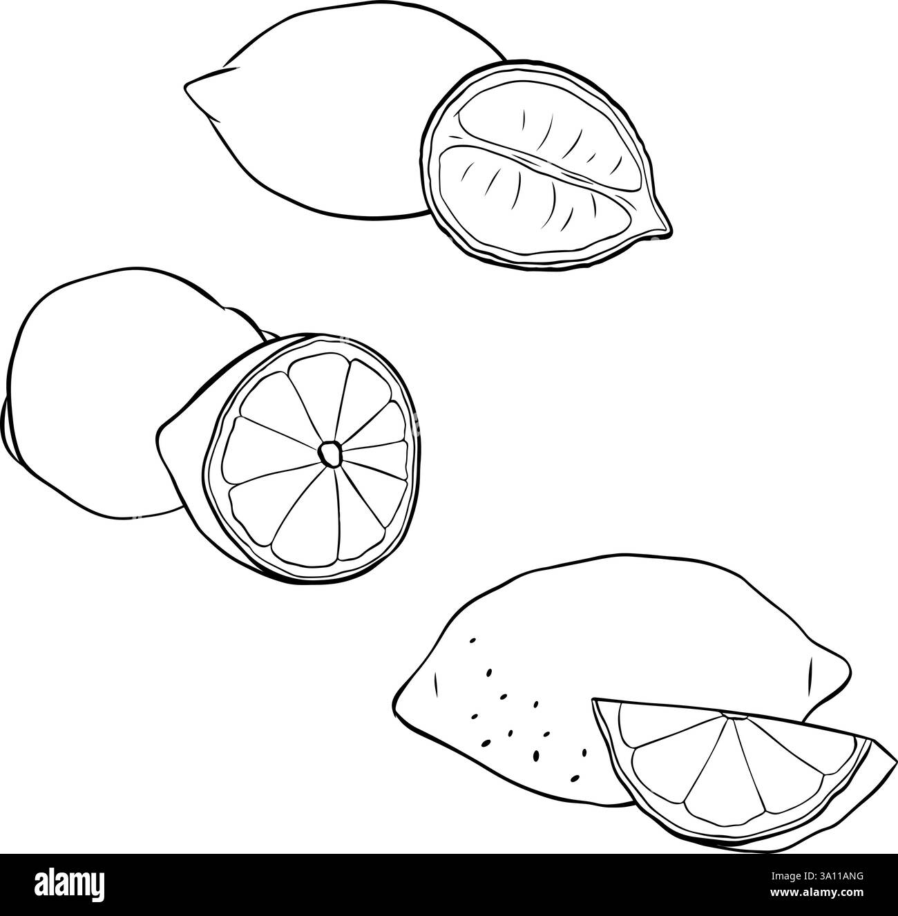 Set composizione limone. Illustrazione grafica del vettore di inchiostro con linee disegnate a mano con sezioni di disegno in bianco e nero isolate su bianco Illustrazione Vettoriale