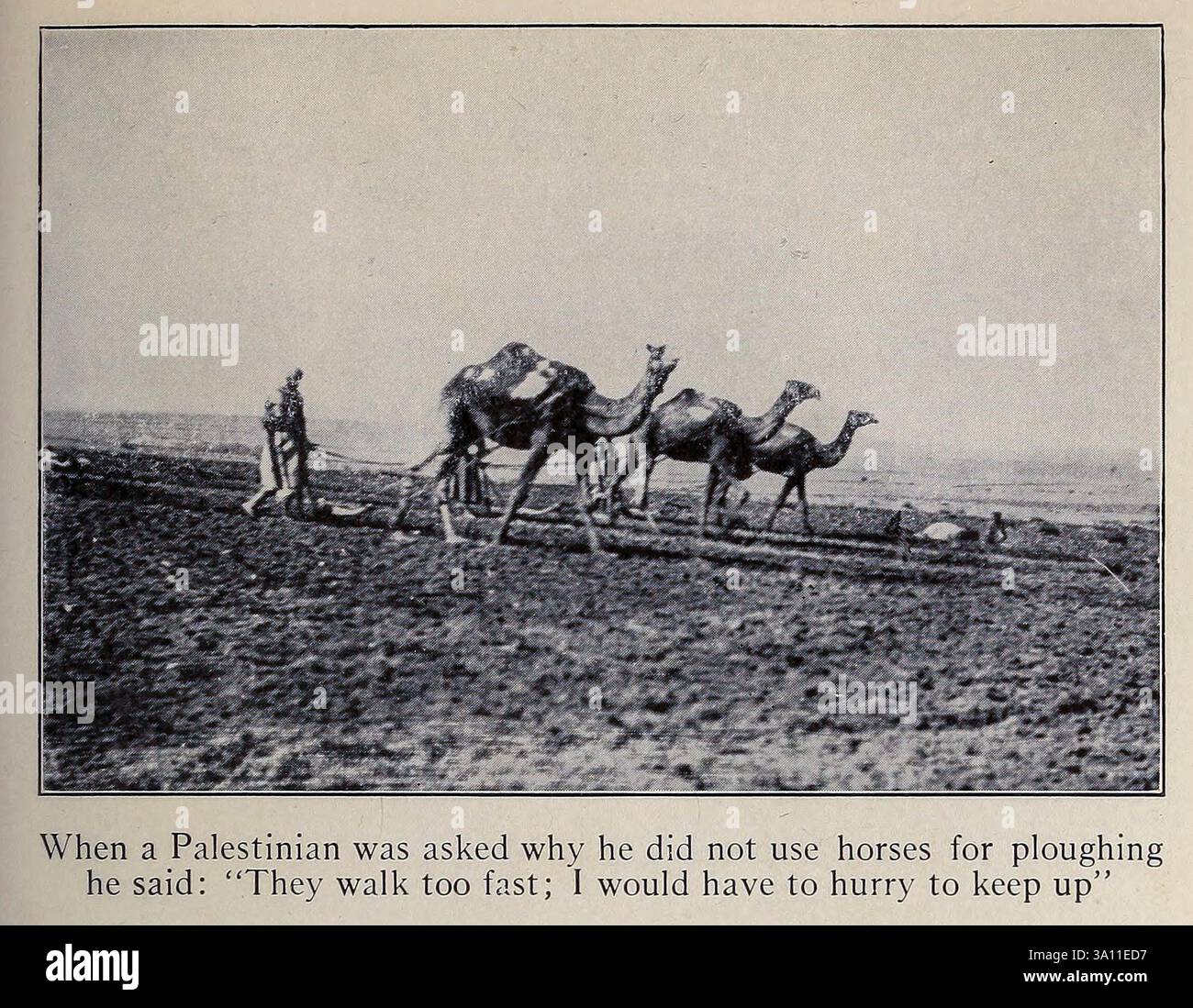 Quando a un palestinese fu chiesto perché non usasse i cavalli per arare disse: "Camminano troppo velocemente; avrei dovuto affrettarmi a tenere il passo da " la Terra Santa e la Siria " di Carpenter, Frank G. (Frank George), 1855-1924 pubblicato Garden City, N. Y., Doubleday, Page & Company 1922 Foto Stock