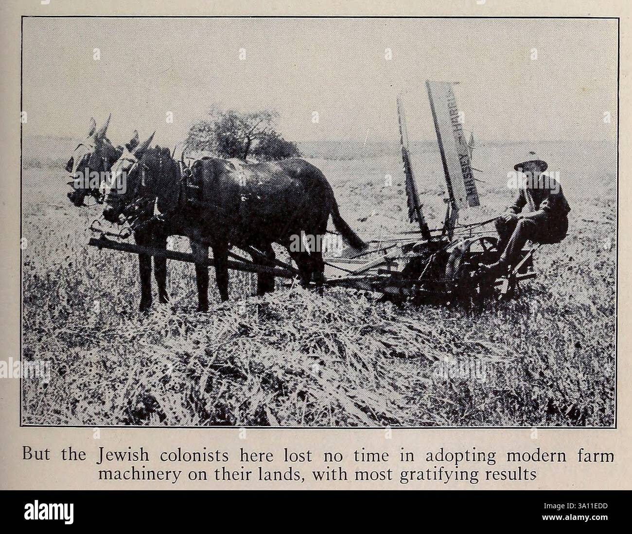 Ma i coloni ebrei qui non persero tempo nell'adottare moderni macchinari agricoli sulle loro terre, con i risultati più gratificanti di ' la Terra Santa e la Siria ' di Carpenter, Frank G. (Frank George), 1855-1924 pubblicato Garden City, N. Y., Doubleday, Page & Company 1922 Foto Stock