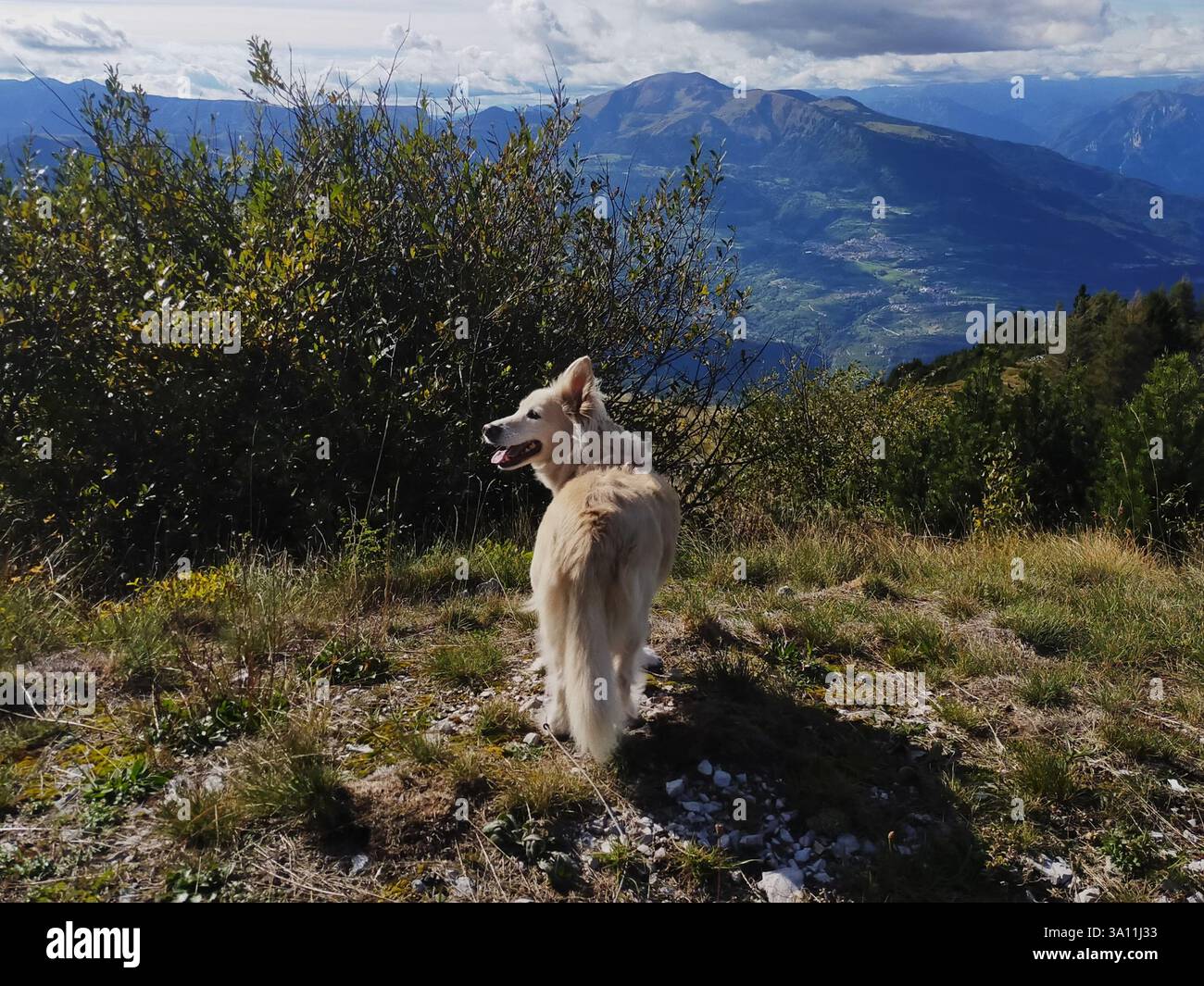 Monte Zugna, un gioiello nascosto nelle Alpi italiane che offre viste panoramiche mozzafiato, prati alpini lussureggianti e siti storici della prima guerra mondiale. Foto Stock