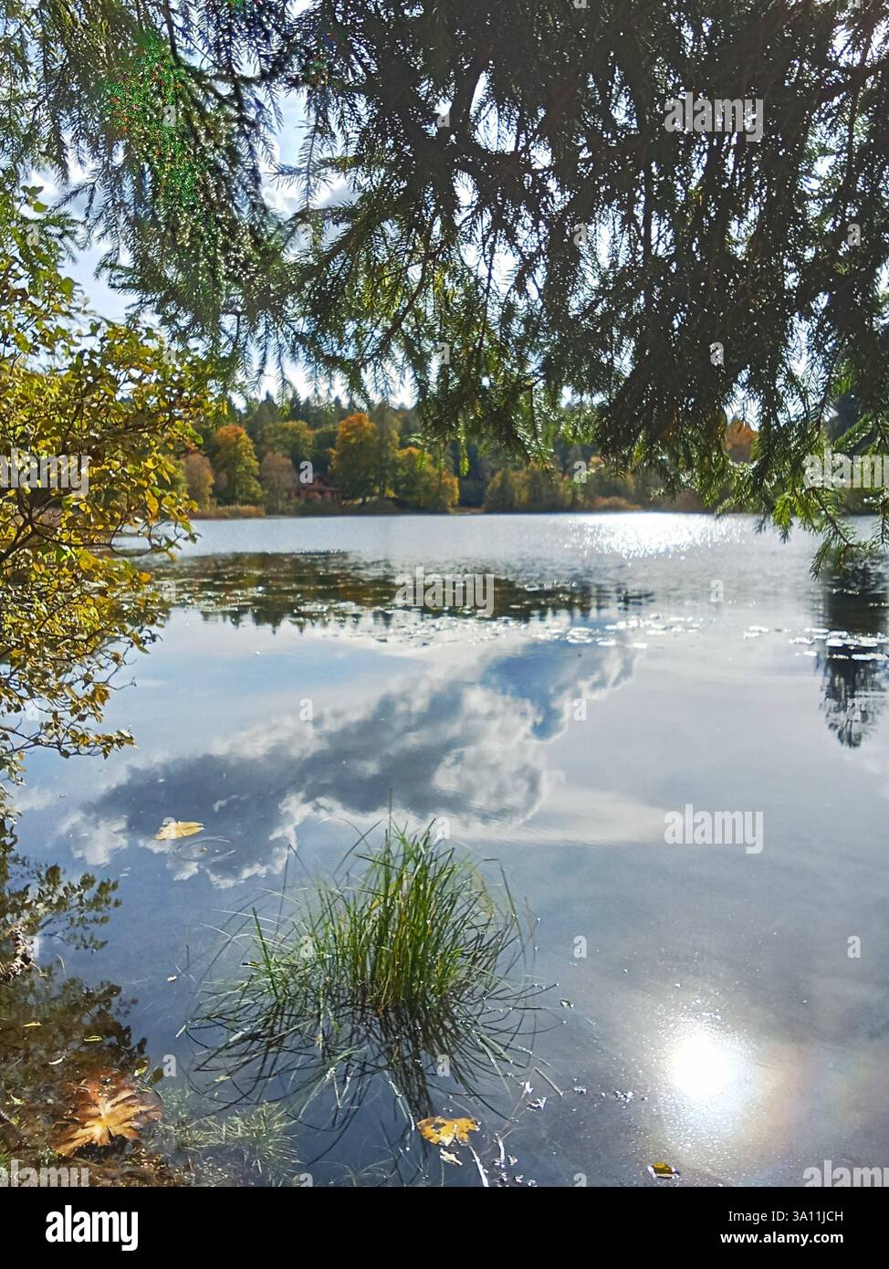 Il lago CEI si illumina sotto il sole autunnale, con riflessi dorati che danzano sull'acqua. Una tranquilla fuga in Trentino, perfetta per fotografi, escursionisti. Foto Stock