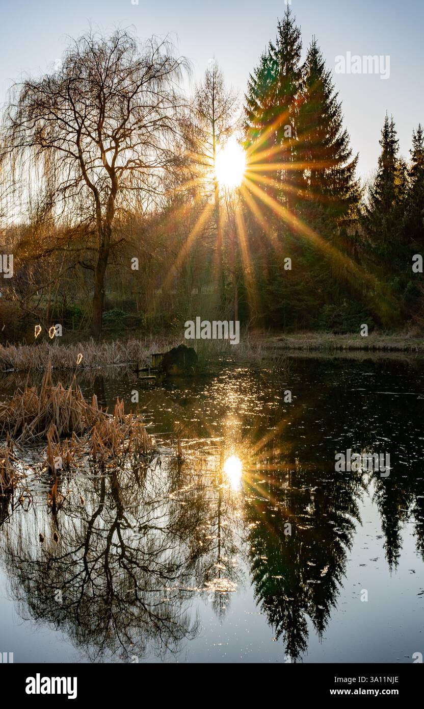 alba sullo stagno nel paesaggio primaverile con stella solare e riflessi degli alberi nella verticale dell'acqua Foto Stock