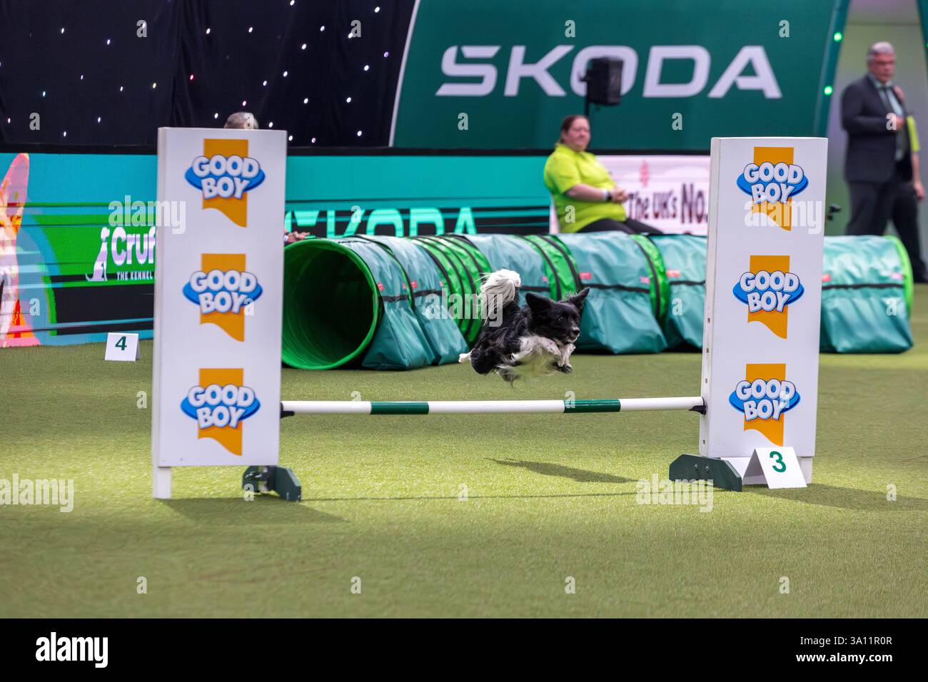 Crufts 2025 birmingham immagini e fotografie stock ad alta risoluzione Alamy