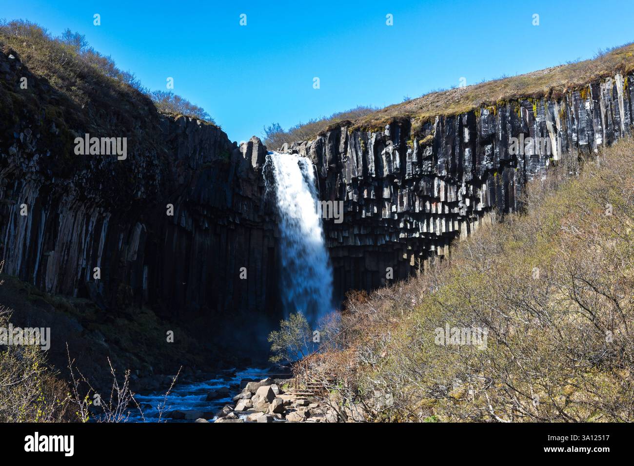 Islanda - la maestosa cascata Svartifoss circondata da colonne di basalto Foto Stock