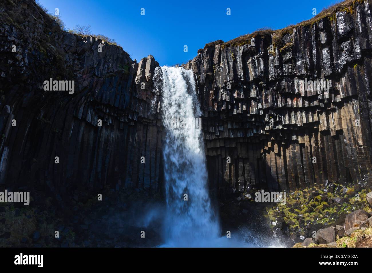 Islanda - la maestosa cascata Svartifoss circondata da colonne di basalto Foto Stock