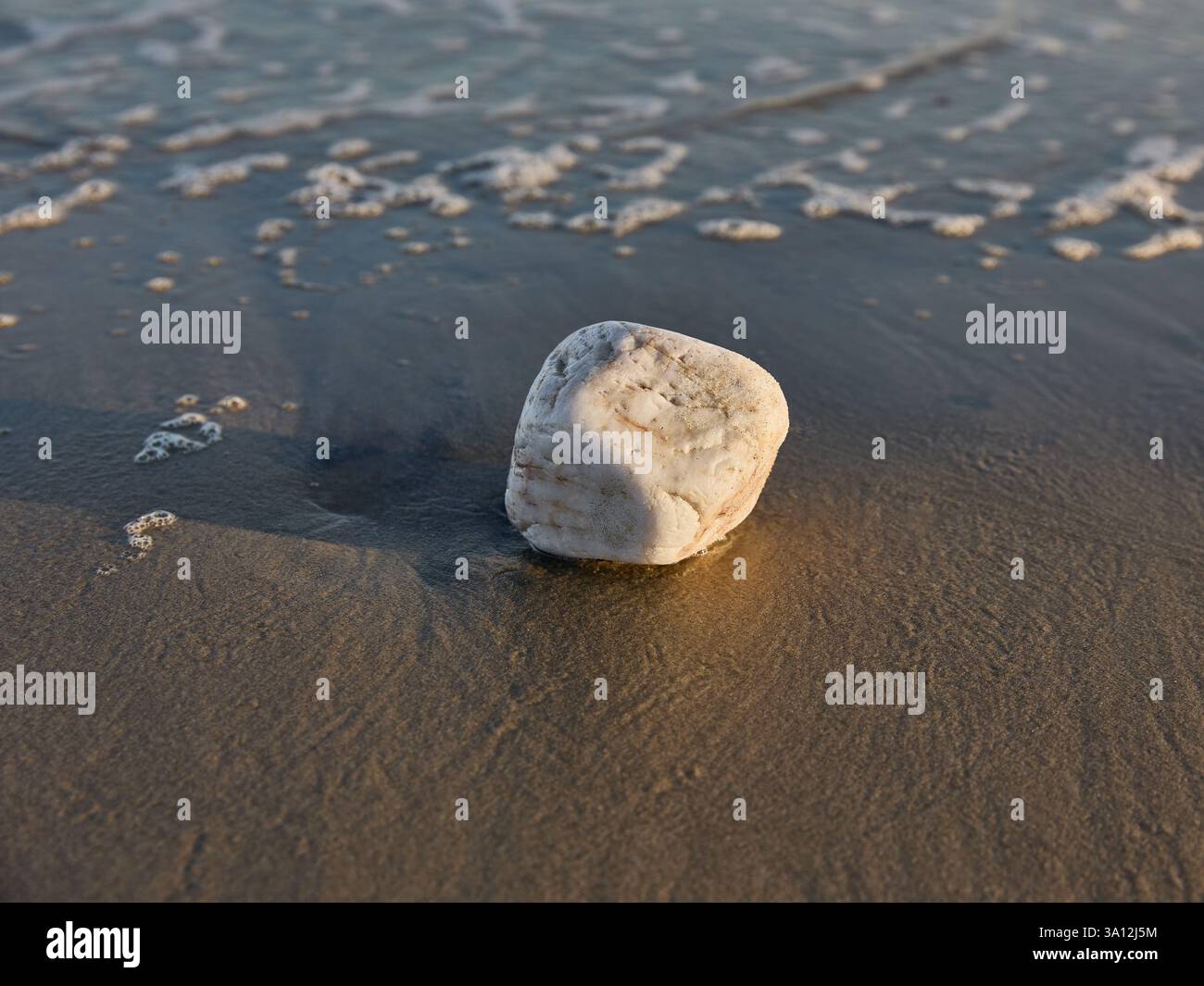 Rock nella sabbia Foto Stock