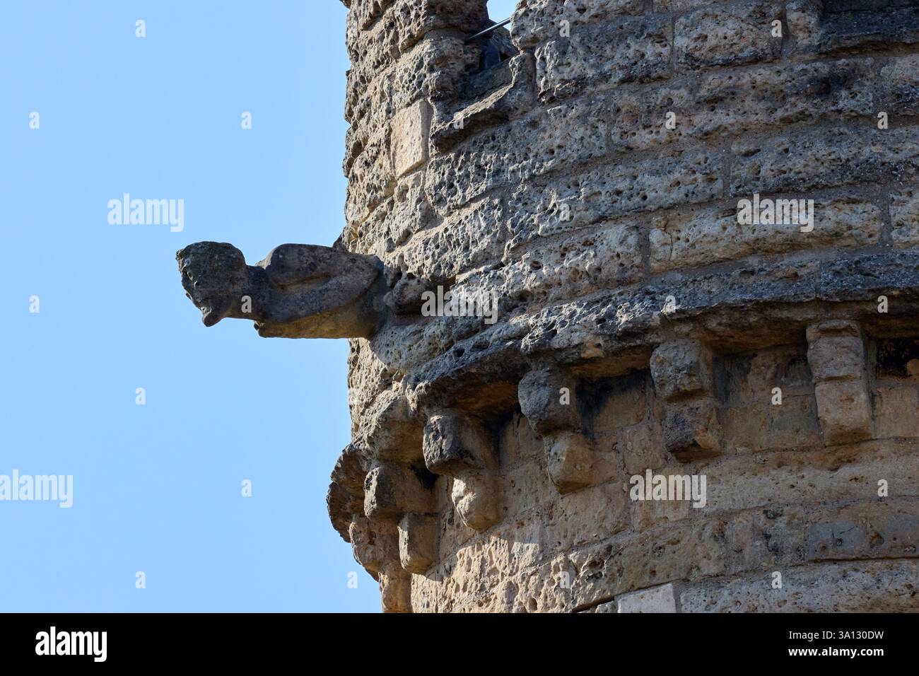 Un gargoyle su una torre del castello di Lincoln si abbina con una faccia in pietra intagliata e intemprata. Foto Stock