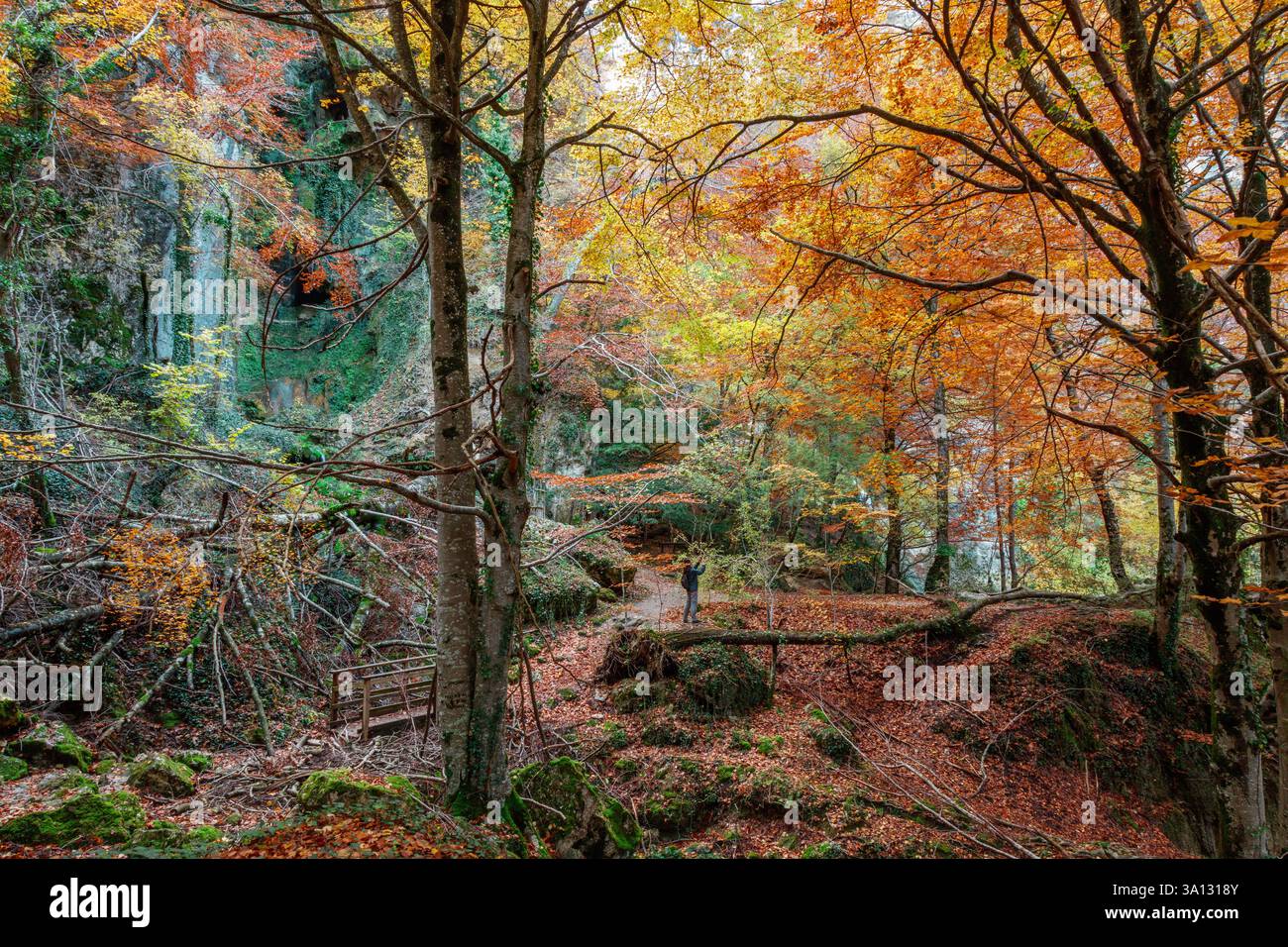 Spagna, Paesi Baschi, Alava, Sarria, Parque Natural de Gorbeia, escursionista che gode di un paesaggio autunnale in una foresta di faggi Foto Stock