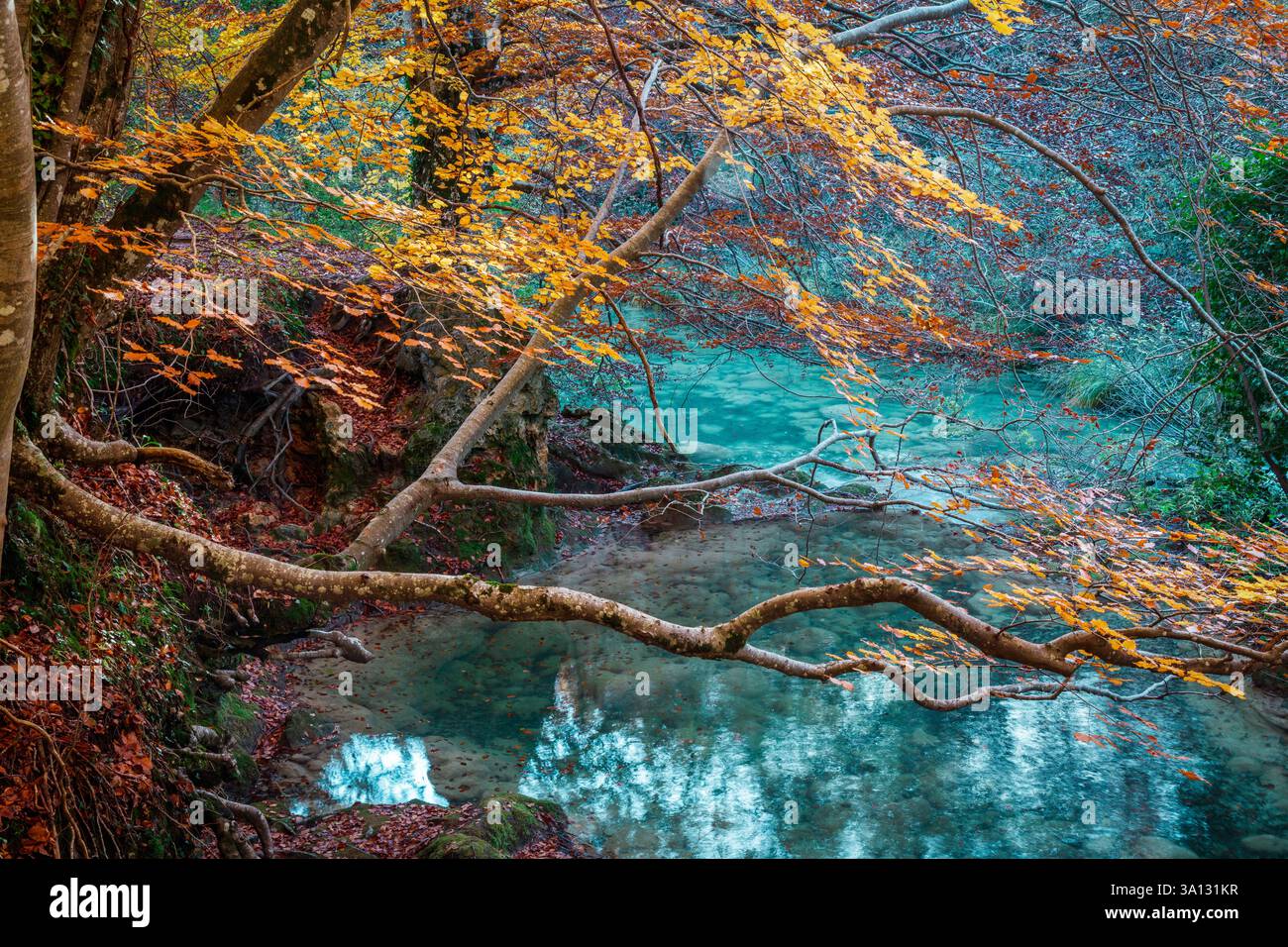 Spagna, Paesi Baschi, Alava, Sarria, Parque Natural de Gorbeia, ruscello che scorre nel mezzo di un paesaggio forestale in autunno Foto Stock