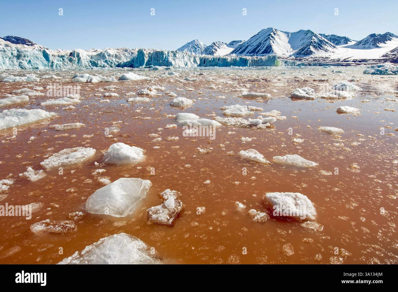 Ghiacciaio King's Bay (Kongsfjorden), Spitsbergen occidentale, Svalbard nel giugno 2008. L'acqua rossa è causata dal deflusso di minerali naturali. Foto Stock
