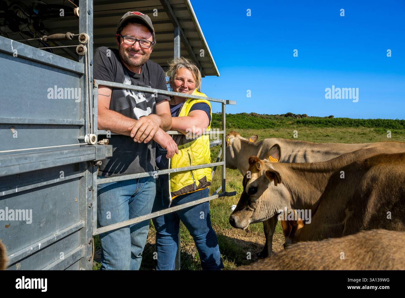 Francia, Finistère, Mare d'Iroise, Isola Ouessant, Thomas e Marie Richaud, allevatori dell'azienda Les Vaches aux 4 Vents, mungitura in pascoli mobili Foto Stock