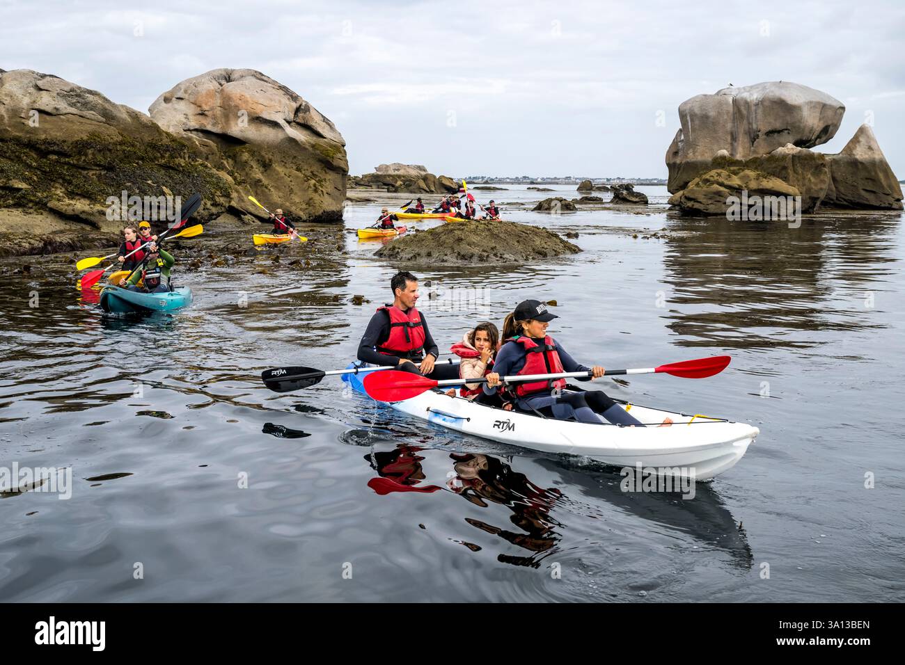 Francia, Finistère, Penmarch, l'arcipelago di Étocs, gita in kayak dal Guilvinec Nautical Center per scoprire la foca grigia (halichoerus grypus) nelle rocce con la bassa marea Foto Stock