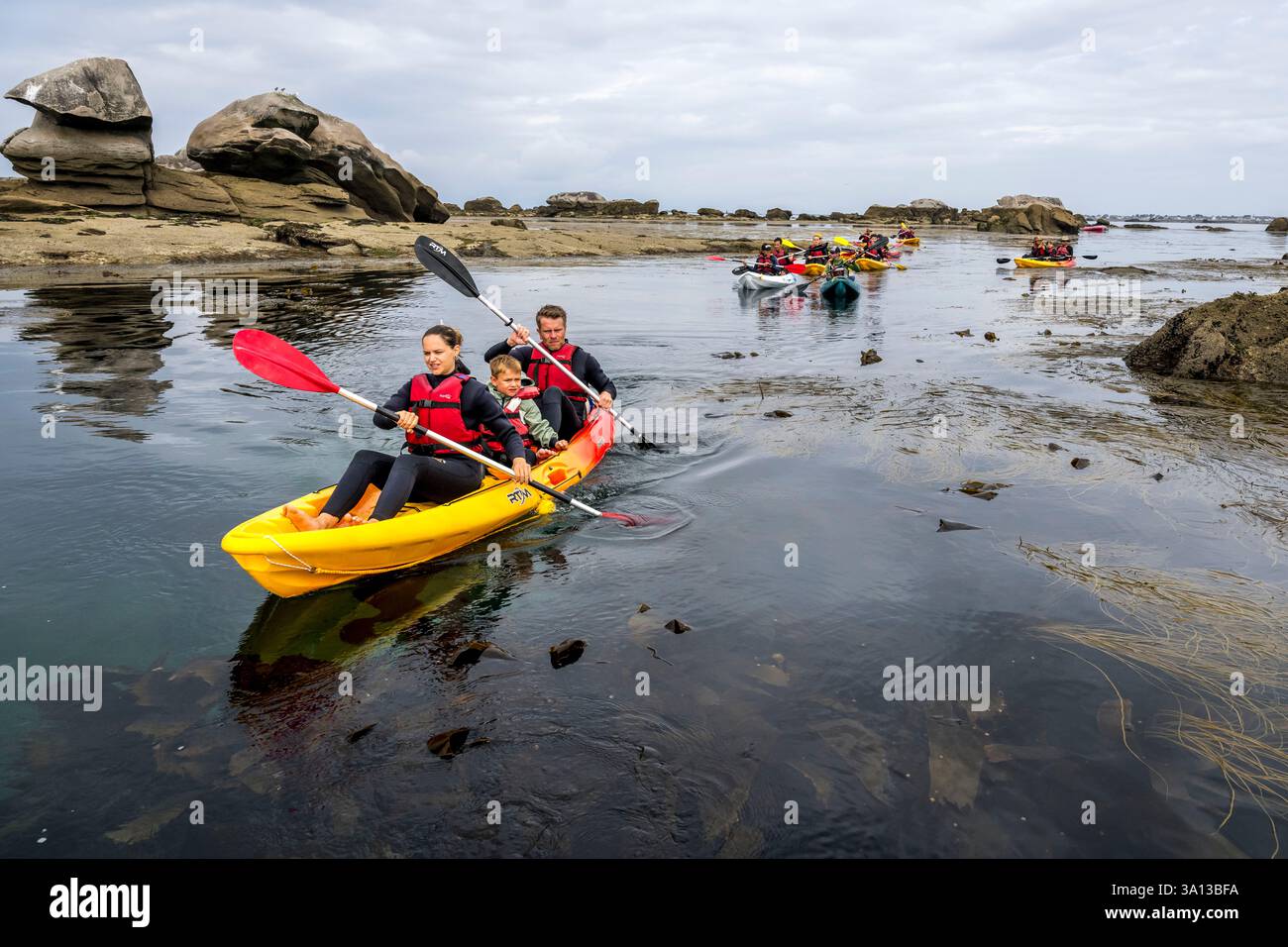 Francia, Finistère, Penmarch, l'arcipelago di Étocs, gita in kayak dal Guilvinec Nautical Center per scoprire la foca grigia (halichoerus grypus) nelle rocce con la bassa marea Foto Stock