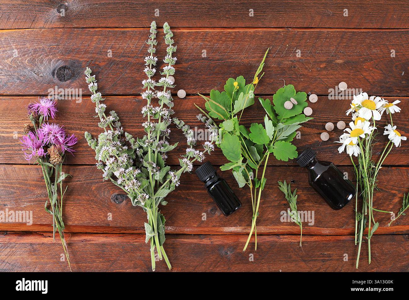 Vengono utilizzati piante medicinali, pillole e oli, il concetto di medicina alternativa e cosmetici naturali, sfondo, menta, camomilla, celandina e yarrow Foto Stock