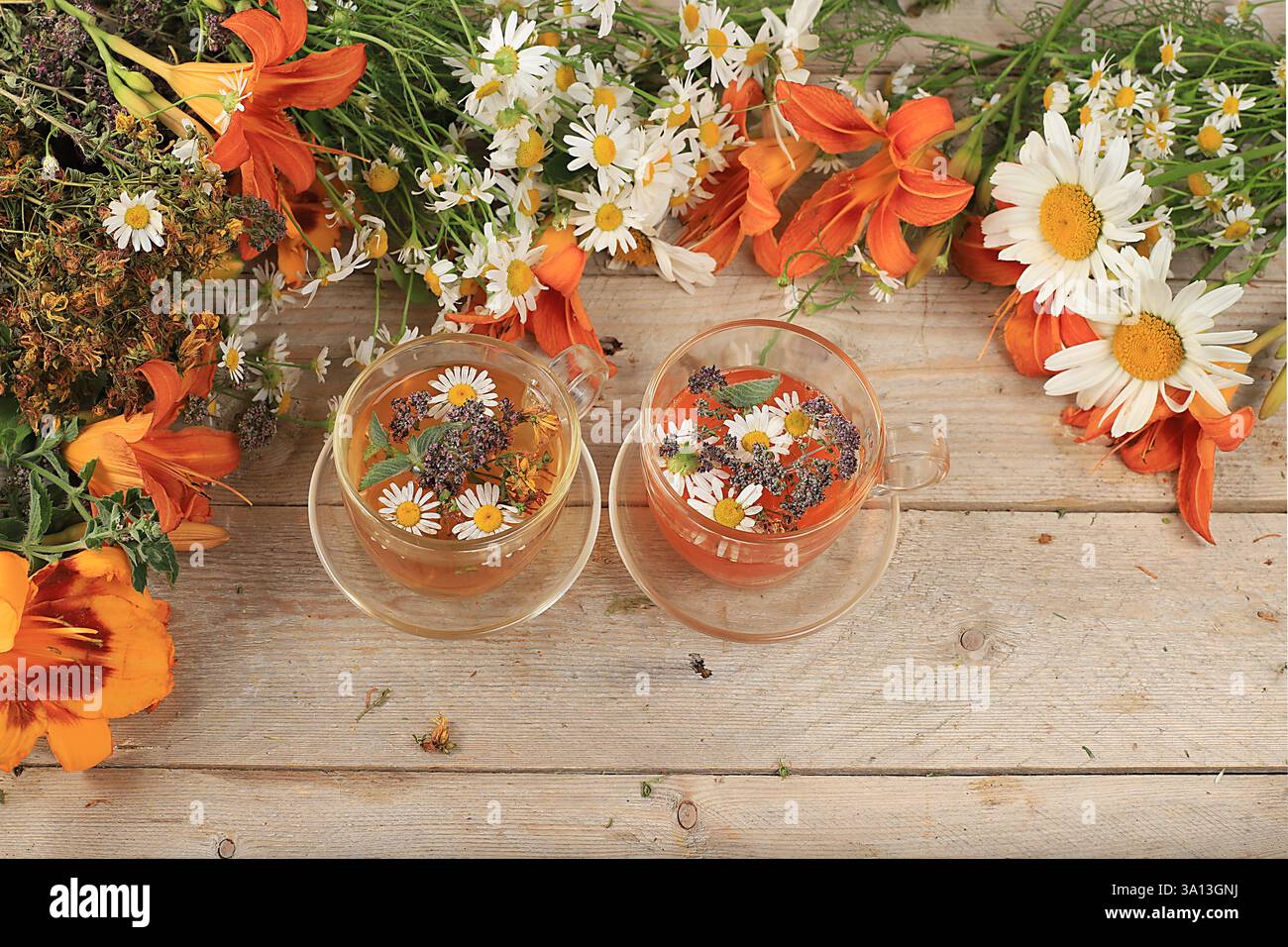 Camomilla e tè alle erbe alla menta, origano e hypericum, concetto di medicina alternativa, sfondo autunnale, set di piante medicinali, erbe selvatiche sono utilizzati Foto Stock