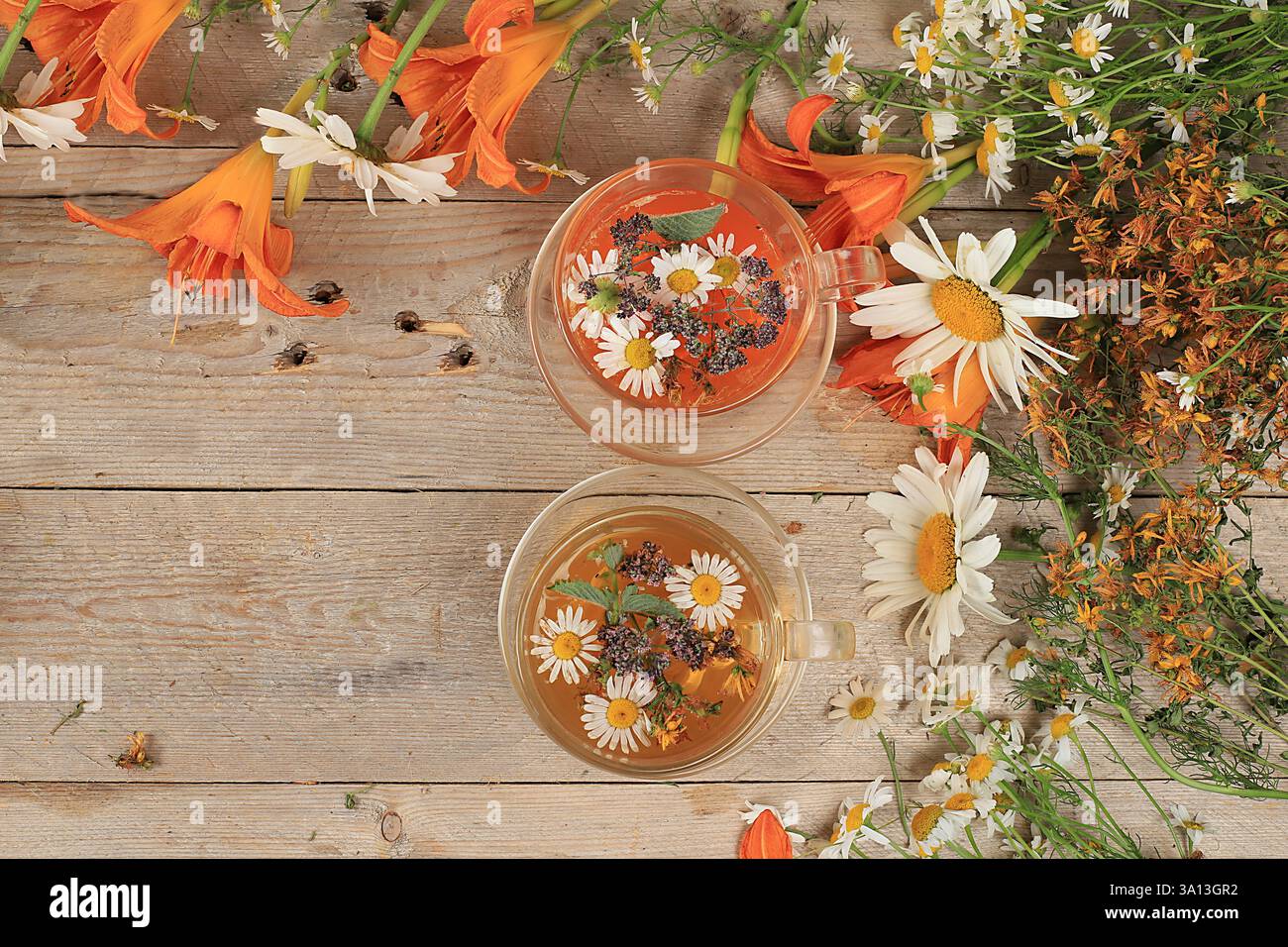 Camomilla e tè alle erbe alla menta, origano e hypericum, concetto di medicina alternativa, sfondo autunnale, set di piante medicinali, erbe selvatiche sono utilizzati Foto Stock