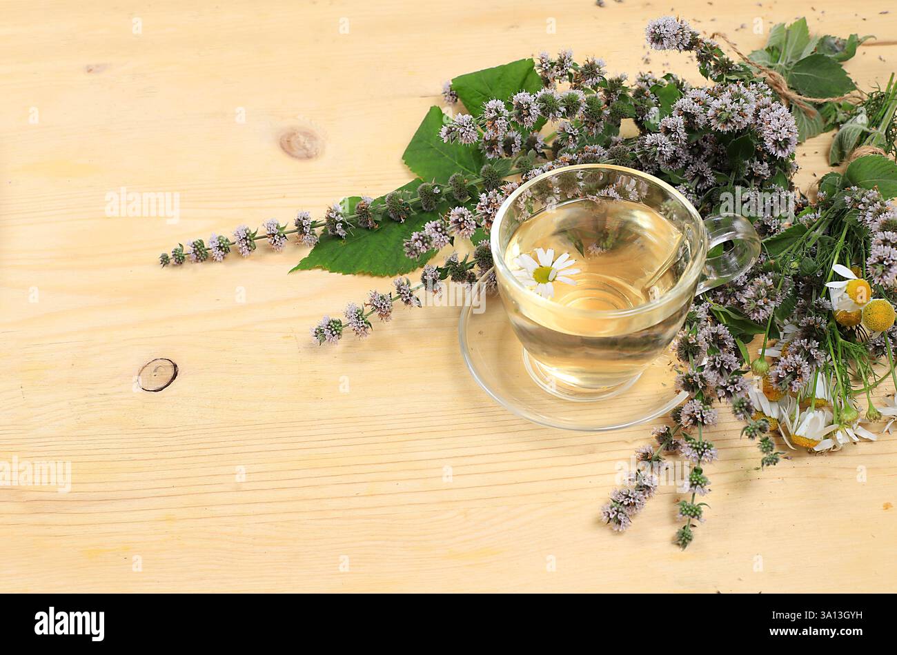 Set di piante medicinali, camomilla e tè alle erbe alla menta, concetto di medicina alternativa e cosmetici naturali, background, erbe medicinali sono utilizzati Foto Stock