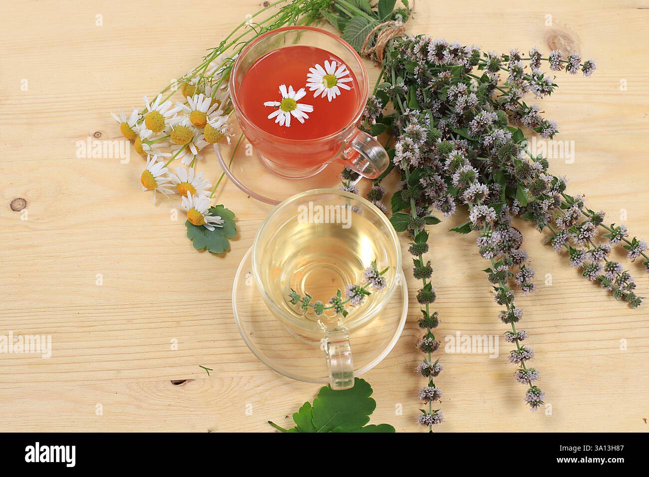 Set di piante medicinali, camomilla e tè alle erbe alla menta, concetto di medicina alternativa e cosmetici naturali, background, erbe medicinali sono utilizzati Foto Stock