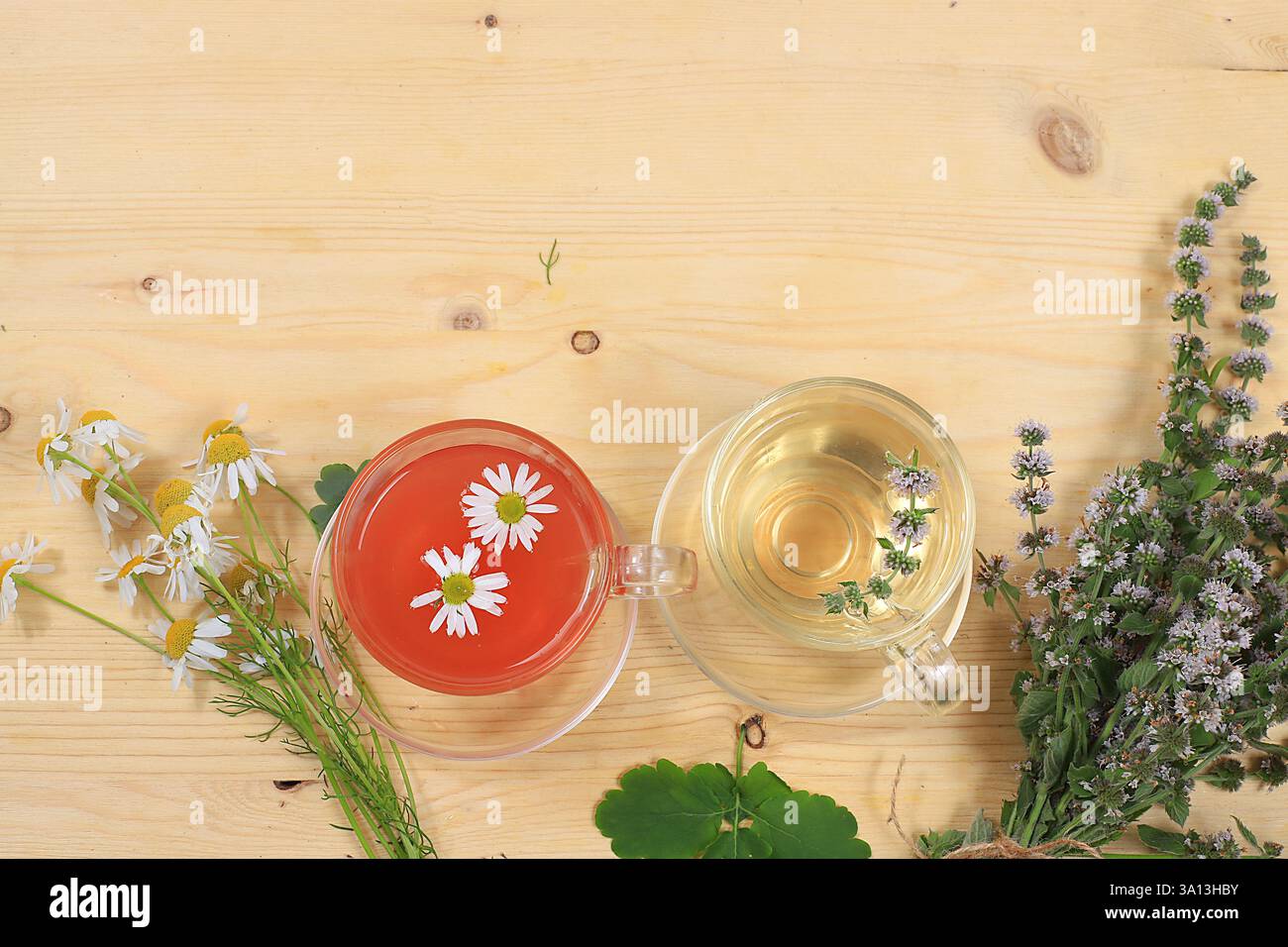 Set di piante medicinali, camomilla e tè alle erbe alla menta, concetto di medicina alternativa e cosmetici naturali, background, erbe medicinali sono utilizzati Foto Stock