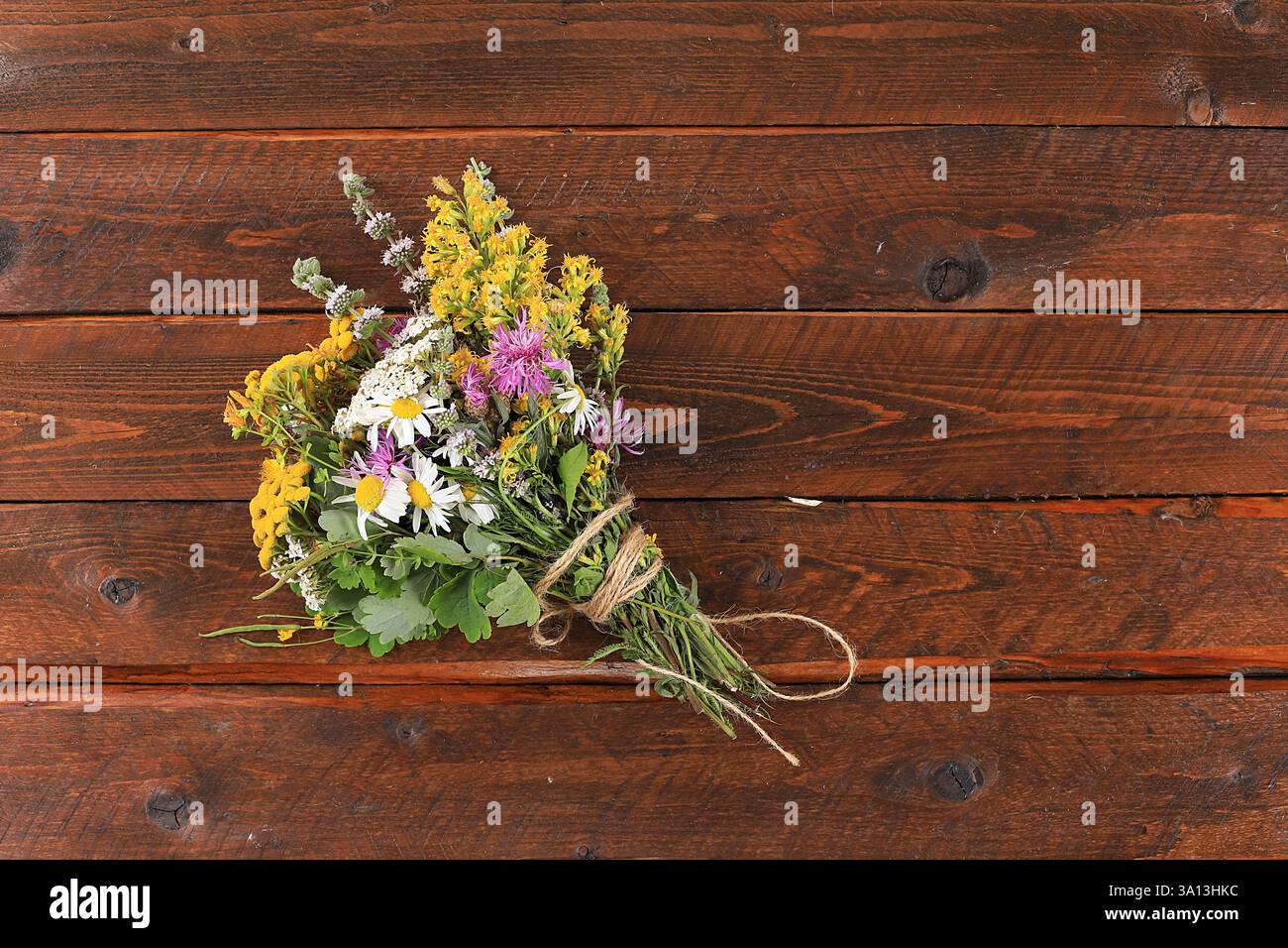 Vengono utilizzati piante medicinali, pillole e oli, il concetto di medicina alternativa e cosmetici naturali, sfondo, menta, camomilla, celandina e yarrow Foto Stock