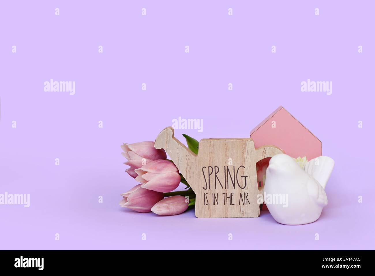 Decorazioni stagionali con fiori di uccello, casa, tulipani e annaffiatoio con il testo "Spring is in the air" su sfondo viola pastello con spazio per copie Foto Stock