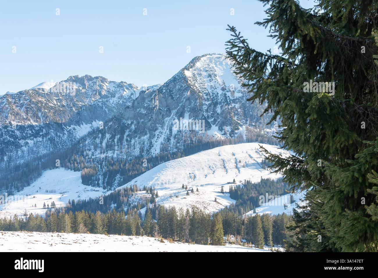 Magnifiche vedute del paesaggio montano invernale con pendii innevati, foreste e cieli azzurri Foto Stock