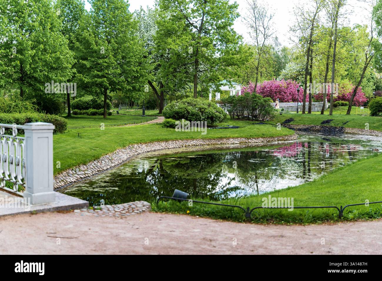 Giardino polacco nella tenuta di Derzhavin. Splendida fioritura primaverile. Stagno, ponte Foto Stock